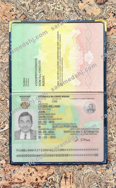Guinea-Bissau passport photo look